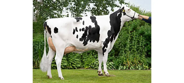 Article Entry Spotreference Image (726X330 Px) (22)