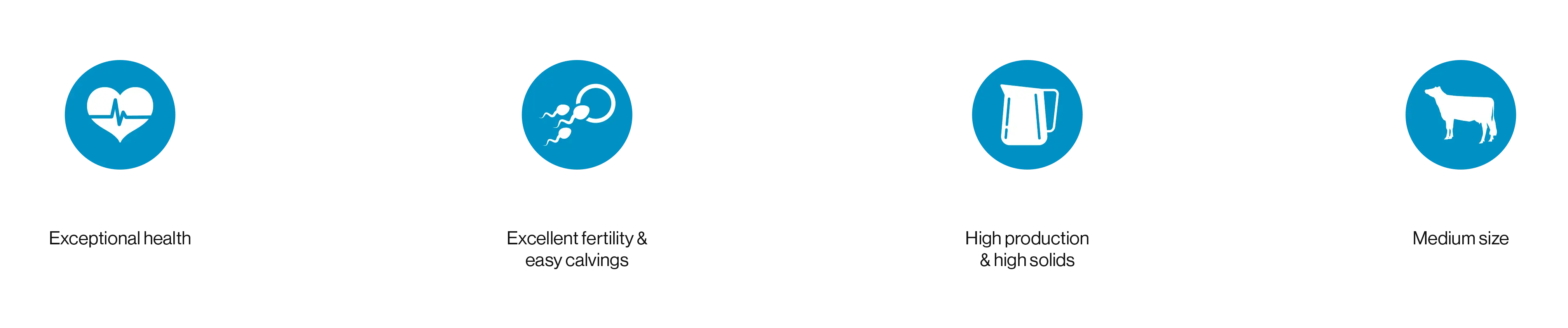 Vikingholstein Figure