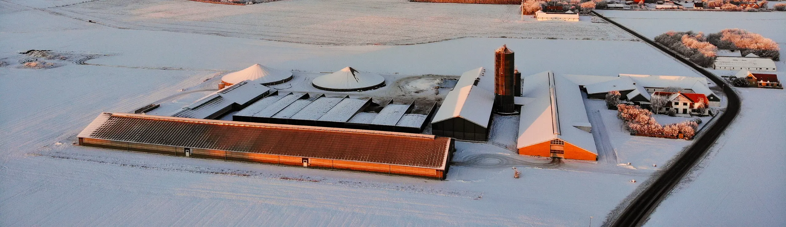 Kvæggård I Snedækket Landskab