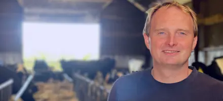 Billede Til Reference