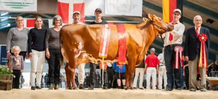 RDM Champion På Landsskuet Efter VR Vimo X VR Hattric, Fra Hanne Brems, Faaborg