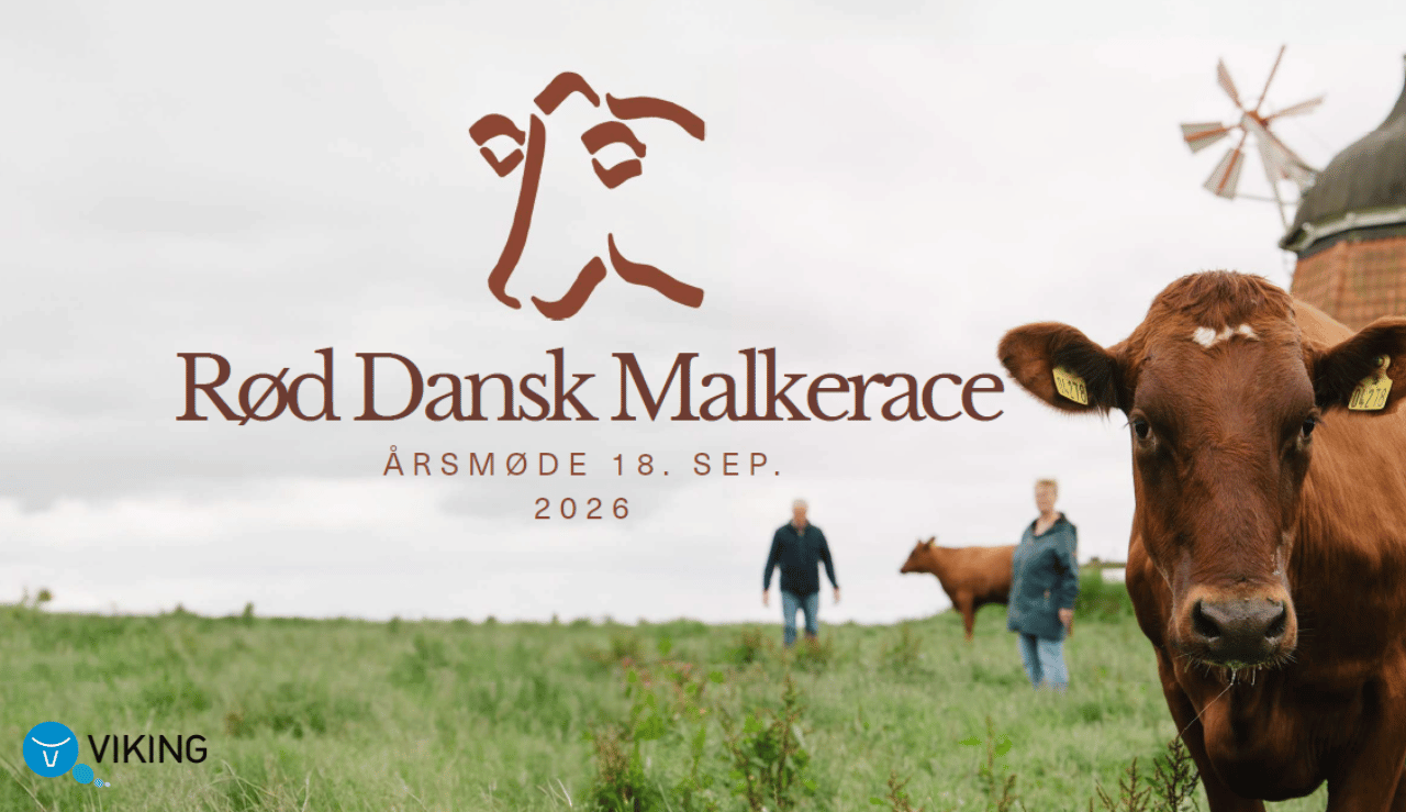 For RDM Er Livskraft En Vinderstrategi