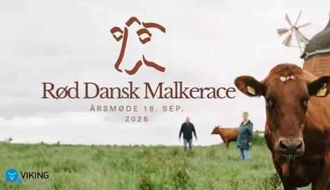 For RDM Er Livskraft En Vinderstrategi