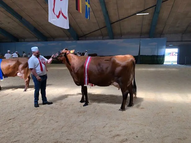 2. Kalvs Viljar