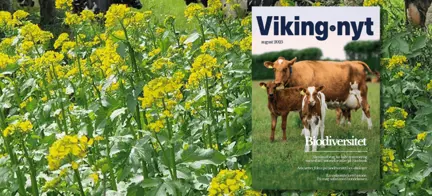 Forsiden Af Vikingnyt August Med Naturbaggrund