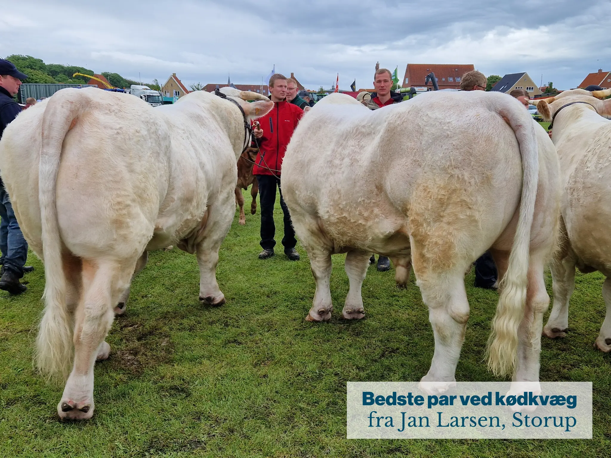 Bedste Par Ved Kødkvæg