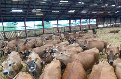 Copy Of Billed Til Hero Spot