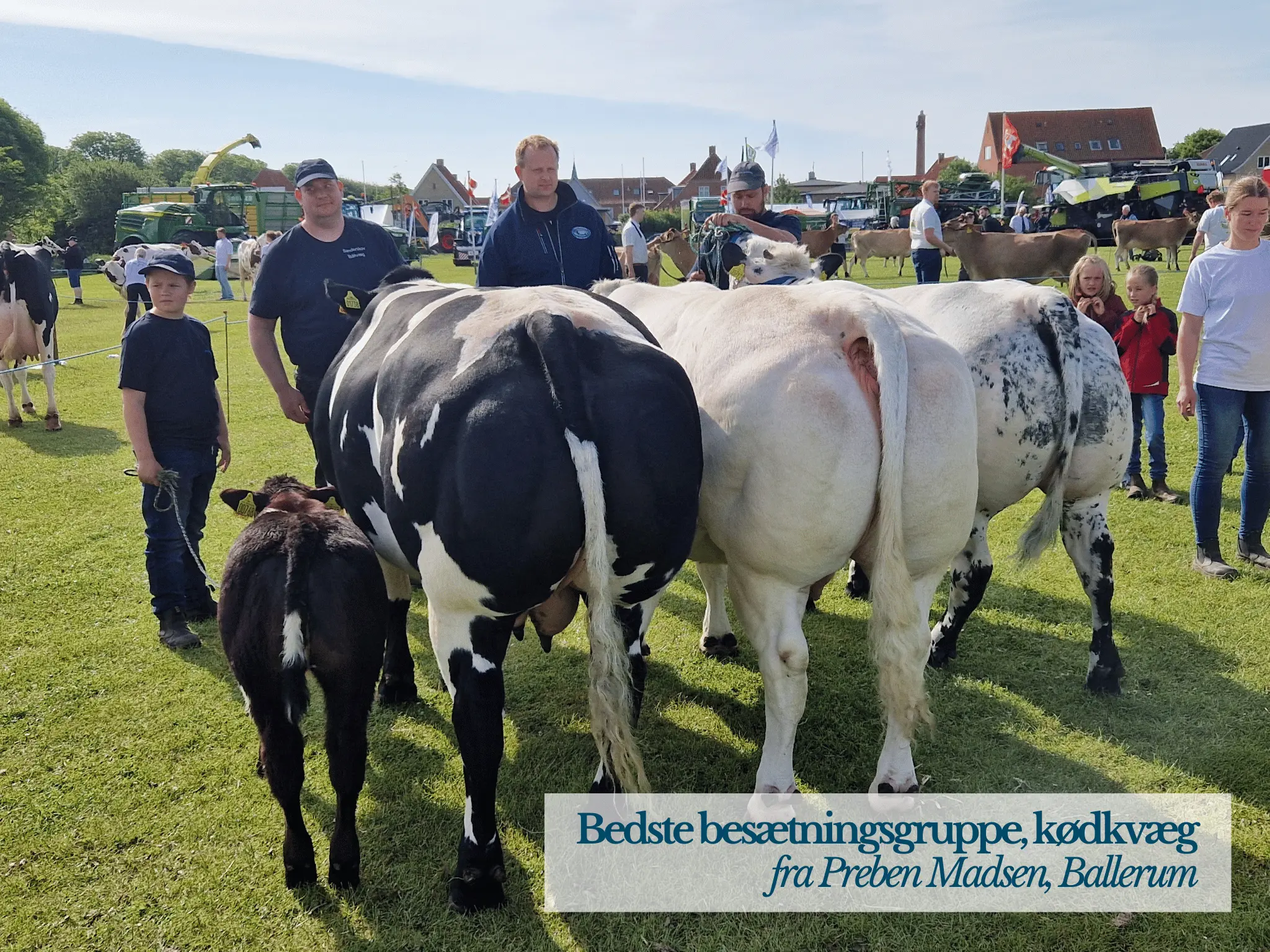 Bedste Besætningsgruppe Kødkvæg, Thy Mors Dyrskue 2025
