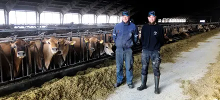 Untitled Design (51) (1)