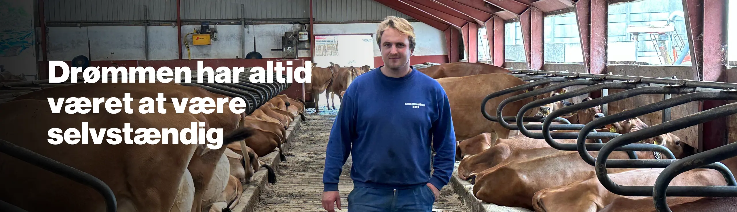 Drømmen Har Altid Været At Være Selvstændig