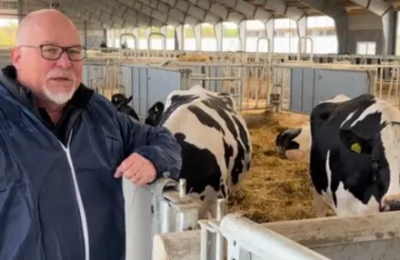 John Fra I Staldens Kælvningsområde