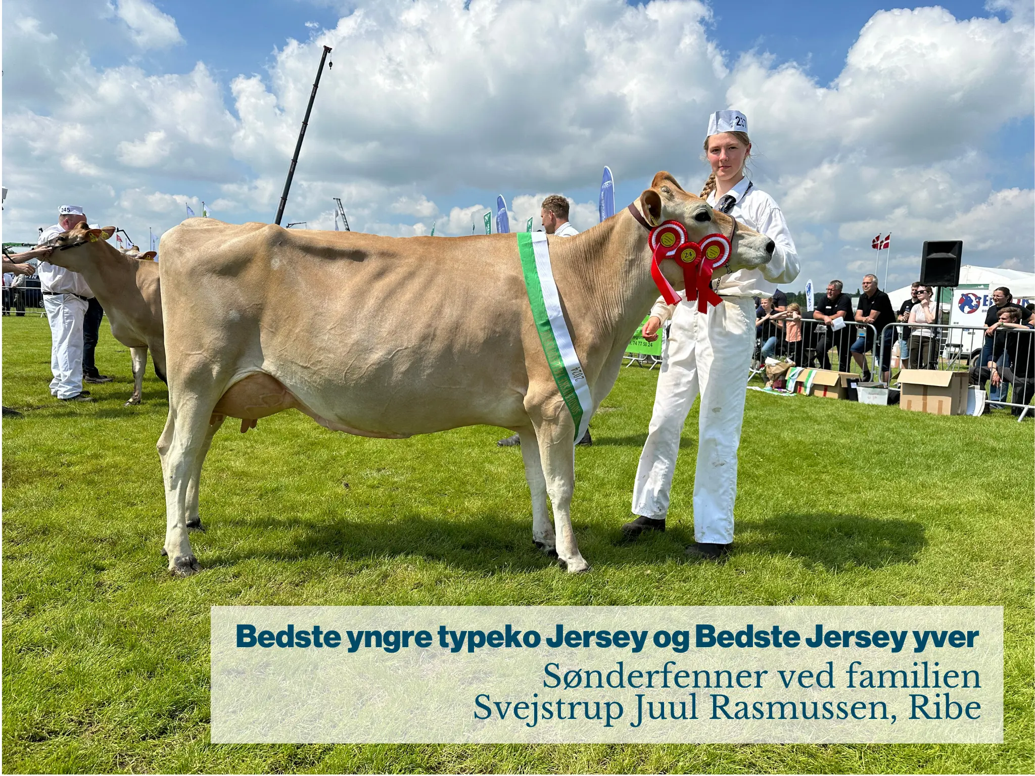 Bedste yngre typeko Jersey