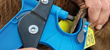 Article Genomisk Selektion