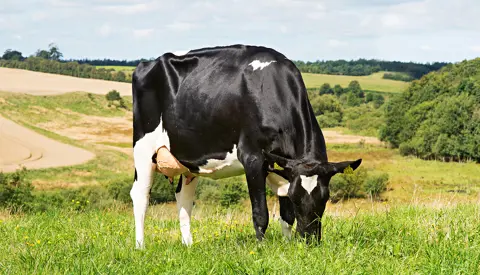 Vh Grafit Datter No 32008 4666 From Oluf Bøgh Hobro Scenic1 Srgb Web