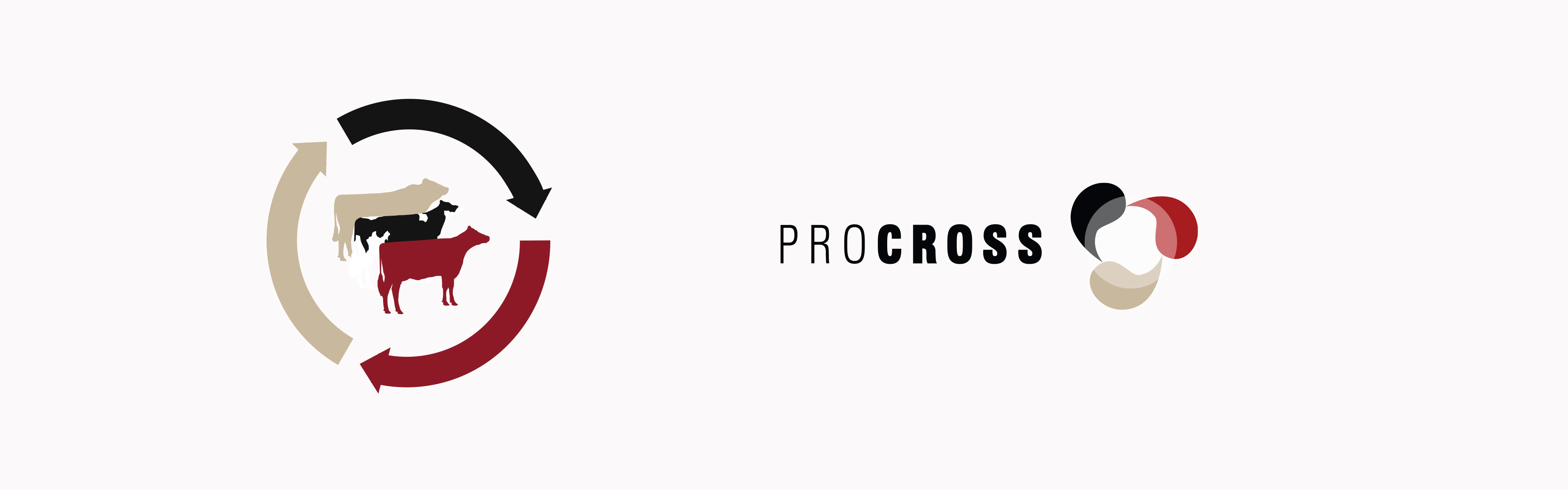 Procross Logo