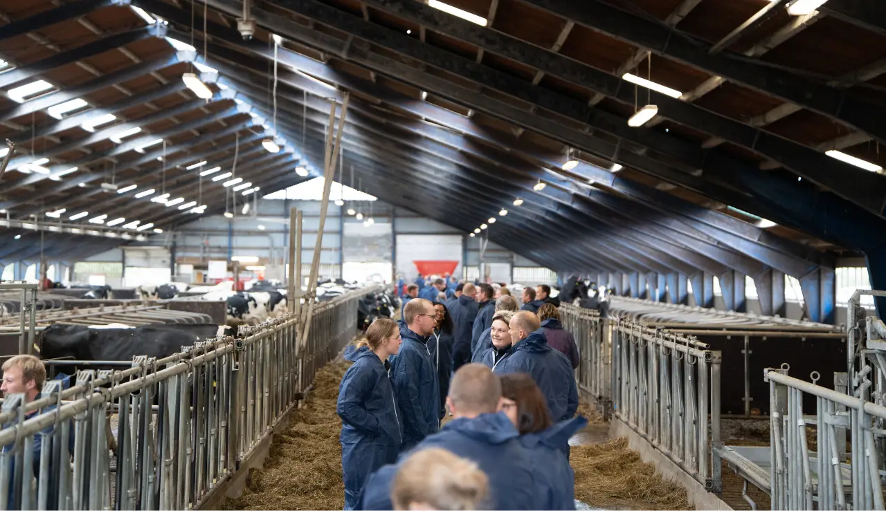 Gæster På Rundvisning I Stalden