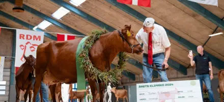 Vinderen Af RDM Klimako Konkurrencen