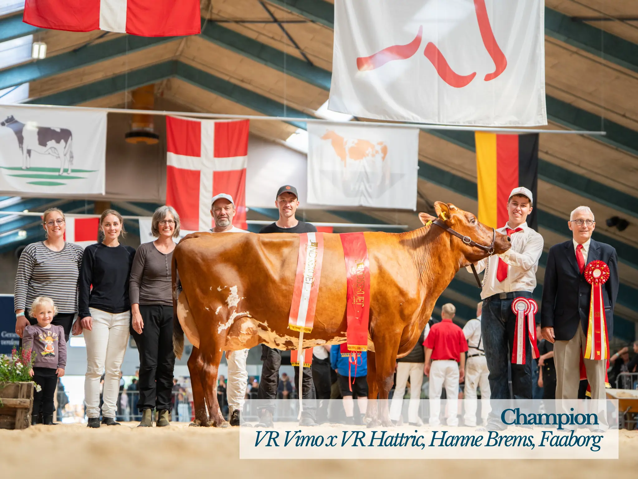 Landsskuet Torsdag RDM Champion