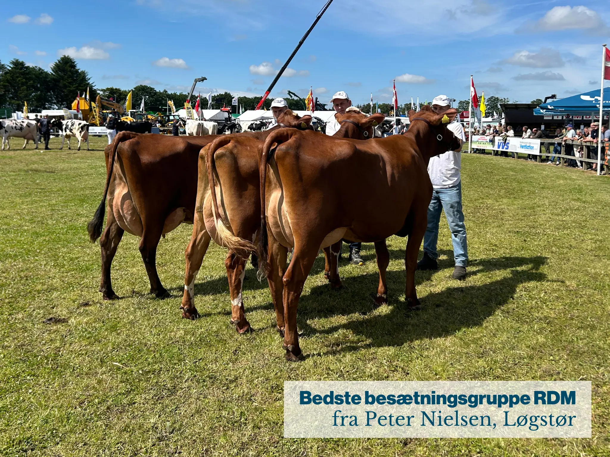Bedste Besætningsgruppe RDM