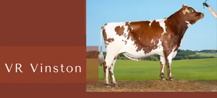 Kopi Af Article Entry Tyr 6