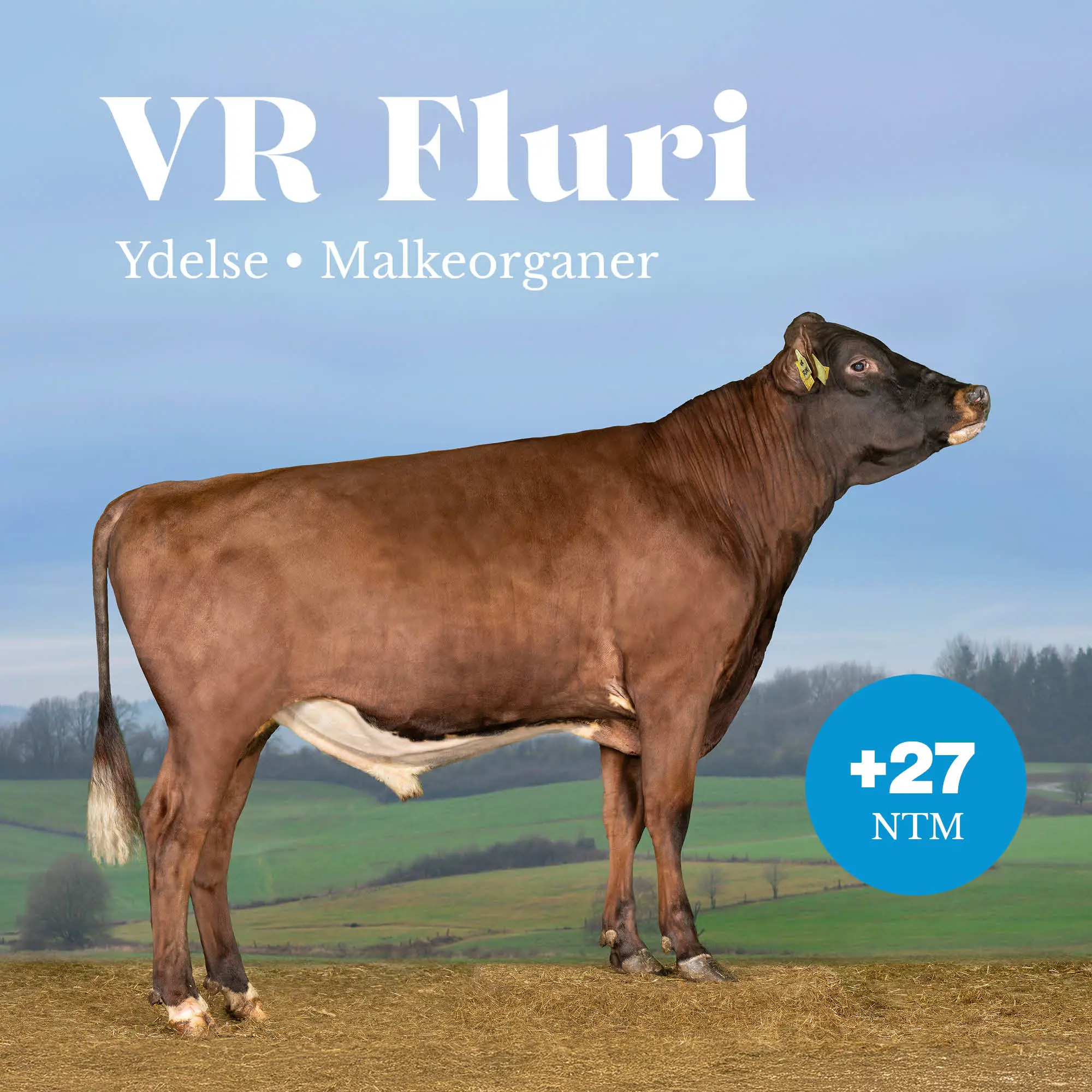 VR Fluri +27 NTM