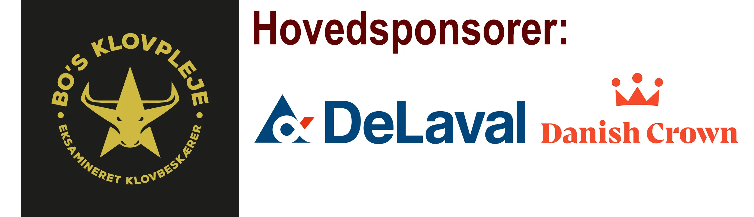 Hovedsponsorer Til Web