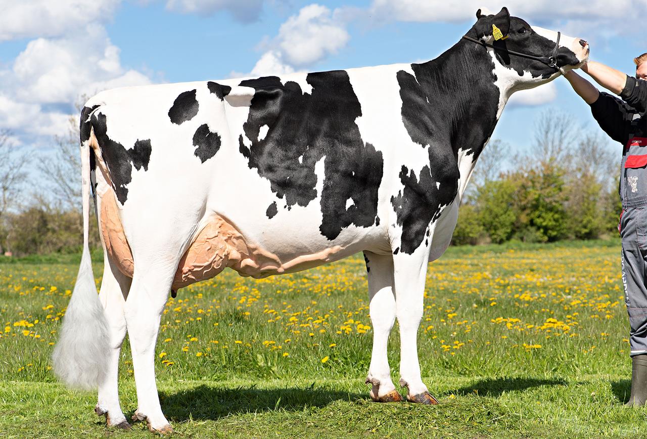 Vh Radium Daughter No 32610 3124 From Sydgaarden Ewald Kusk Kristensen Nibe Srgb Web