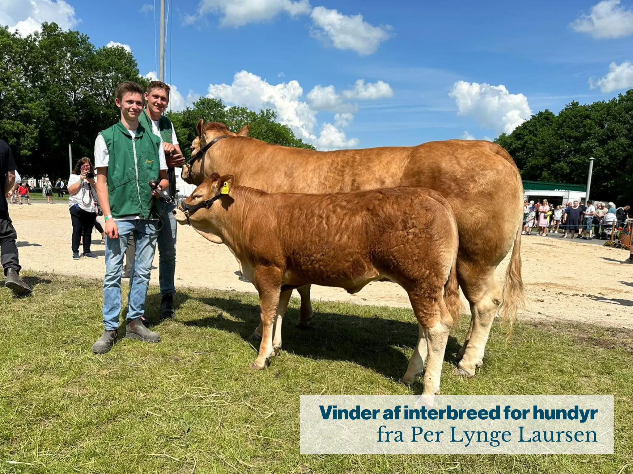 Interbreed Vinder For Hundyr I Hobro Fra Per Lynge Laursen