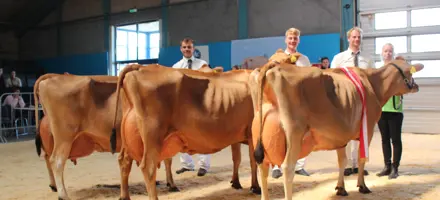 Bedste Besætningsgr. Jersey Fra Tastum Jersey, Viborg