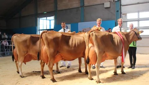 Bedste Besætningsgr. Jersey Fra Tastum Jersey, Viborg