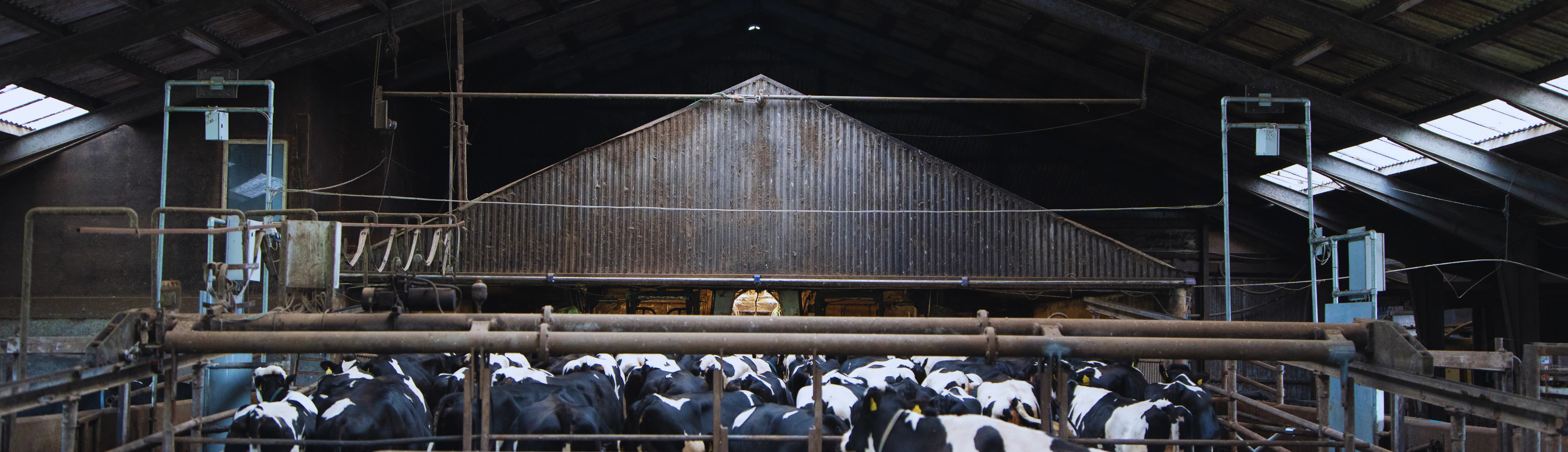 CowFIT-anlæg i stald