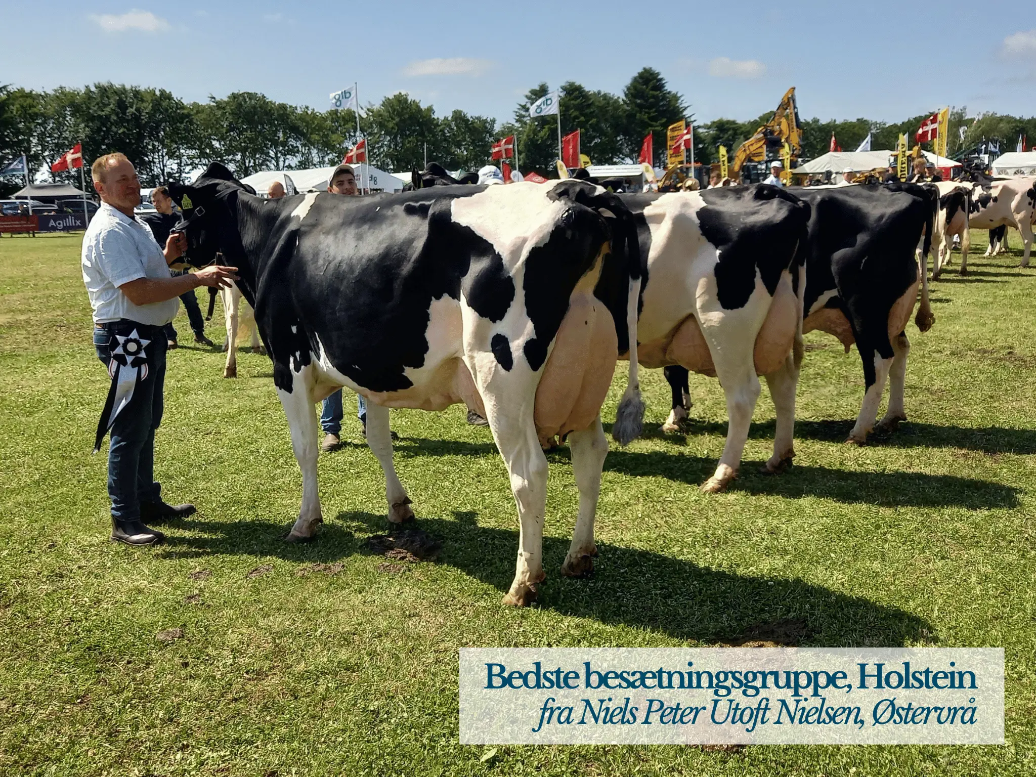 Bedste Besætningsgruppe Holstein, Hjørring Dyrskue