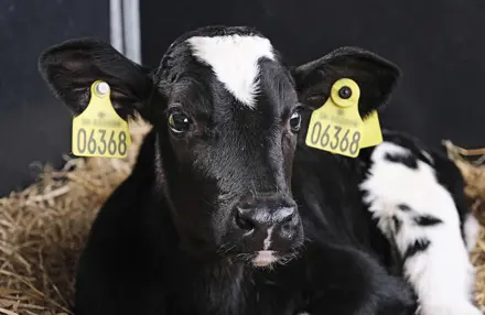 Reproduktion1 Dscf1961