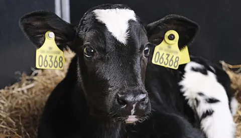 Reproduktion1 Dscf1961