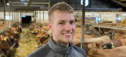 Articleentry Gjensidige