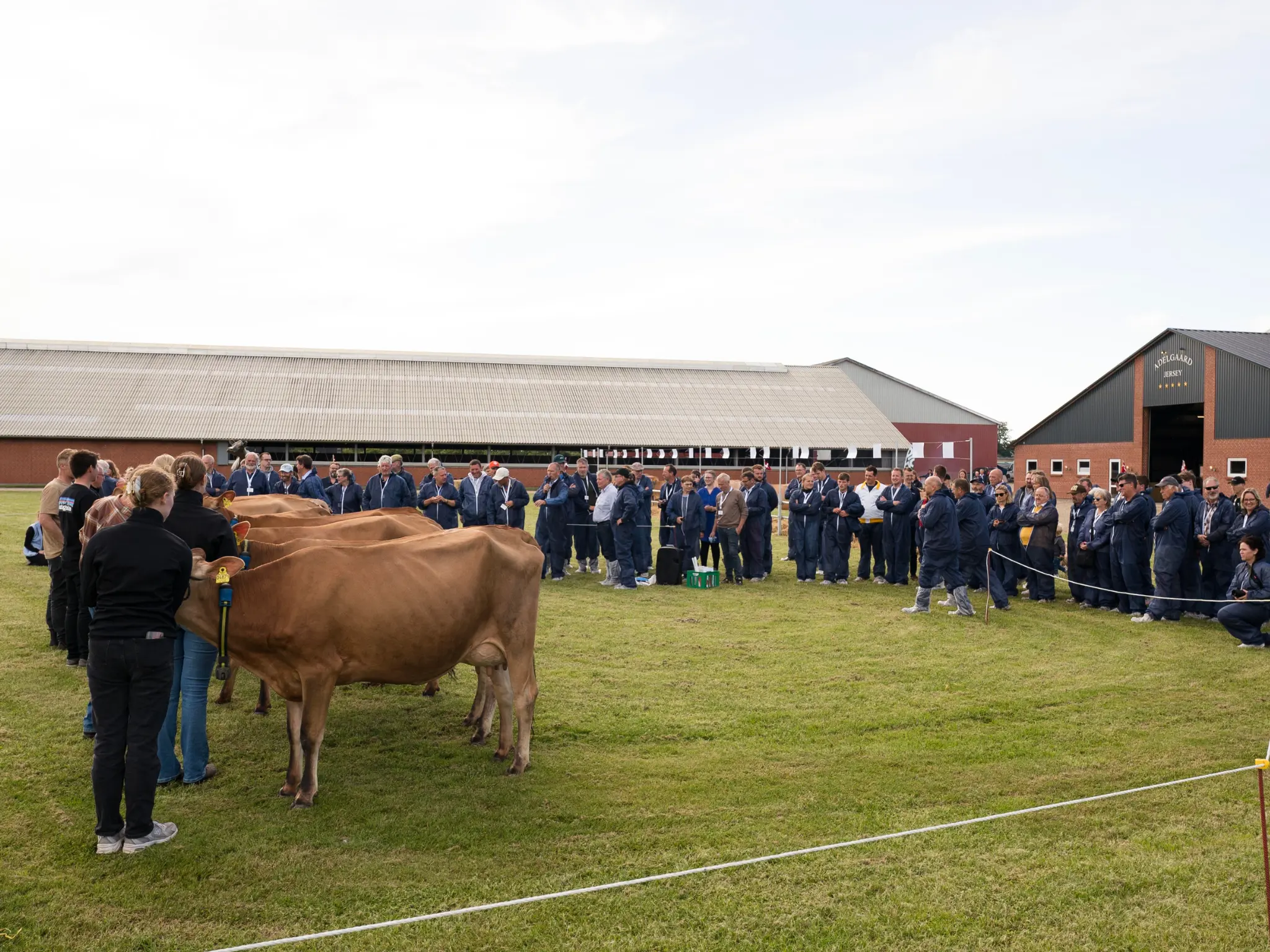 Jersey Verdenskongres 41