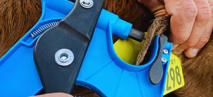 Entry Dine Registreringer