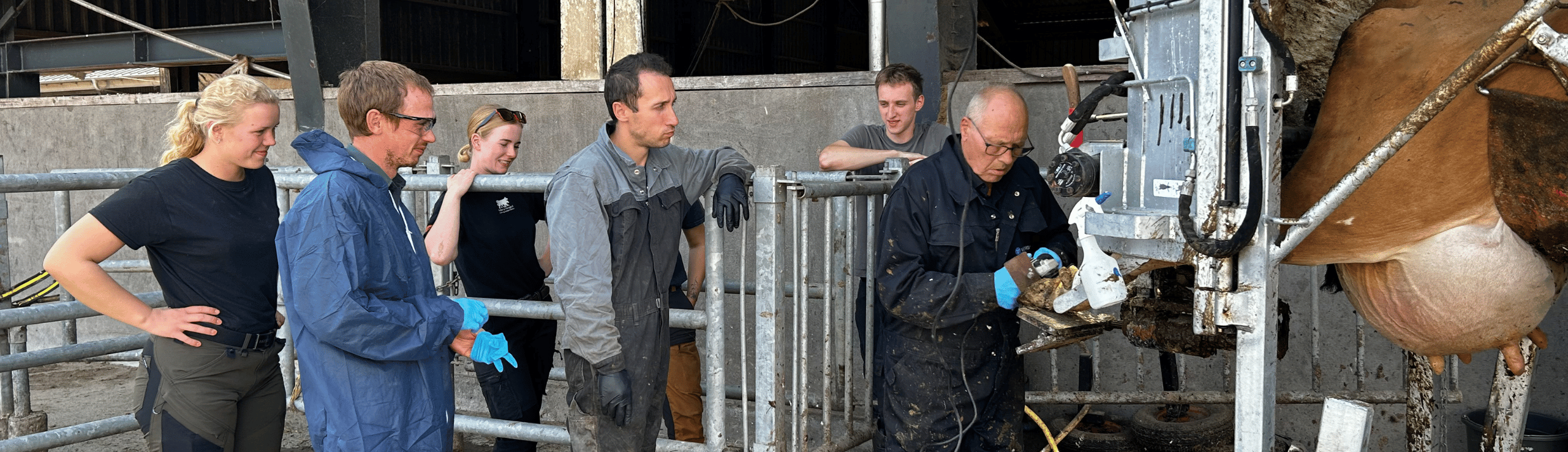 Klovbeskæring I Praksis