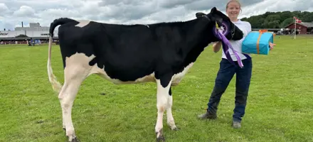 Vinder Af Mønstringskonkurrence Junior