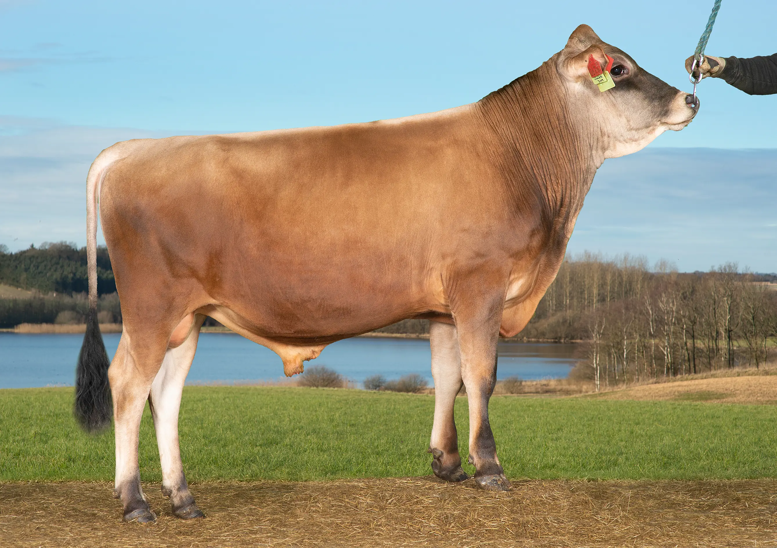 VJ Juke (VJ Jake) (1)