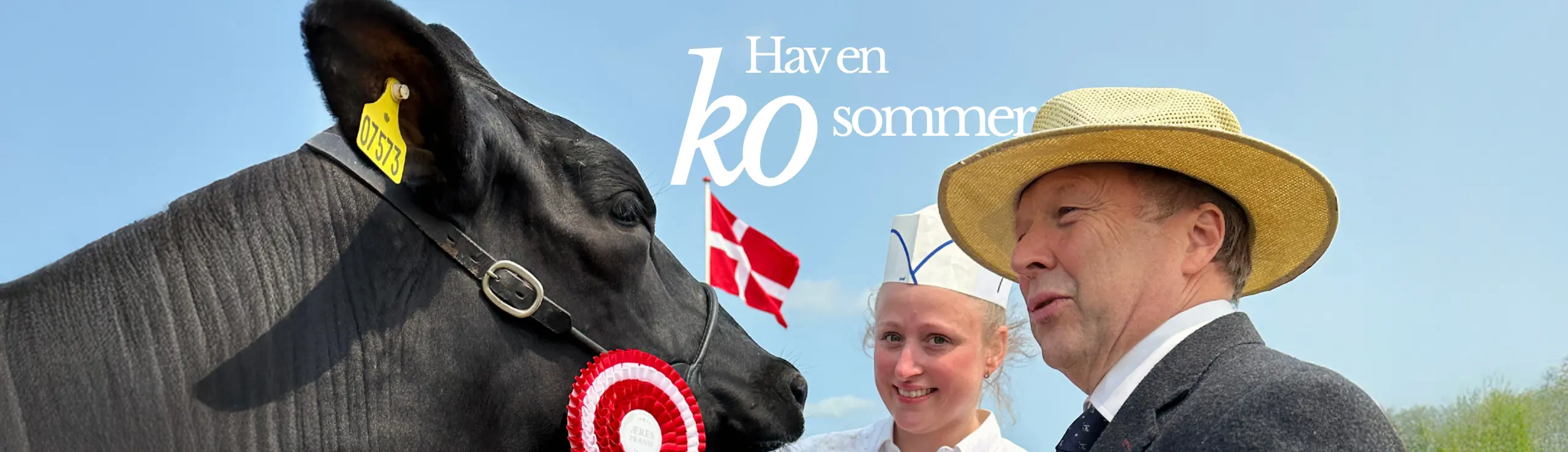 Bannerhavenkosommer