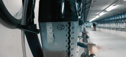 Entry Farvel Til Kanden