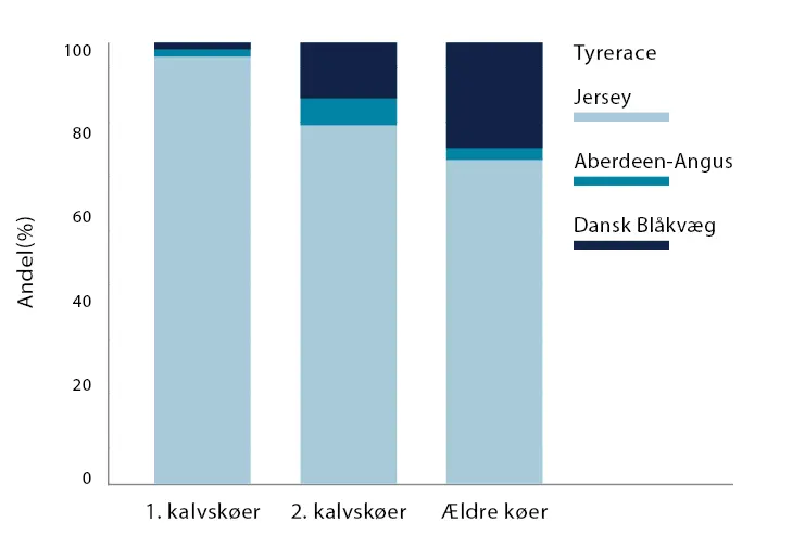 Kælvninger fordelt på køer med forskellig alder