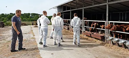 83381150 283859906099154 3977423037908647936