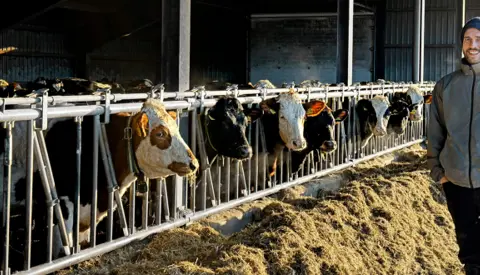 Christian Degn Clausen Med Køer I Stald