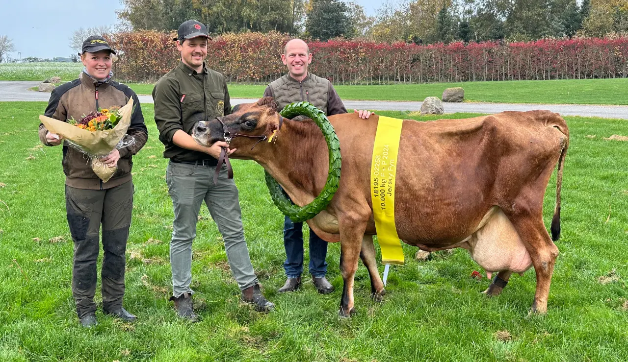 Ko Nr. 2258 Fra Fra Andekærgaard