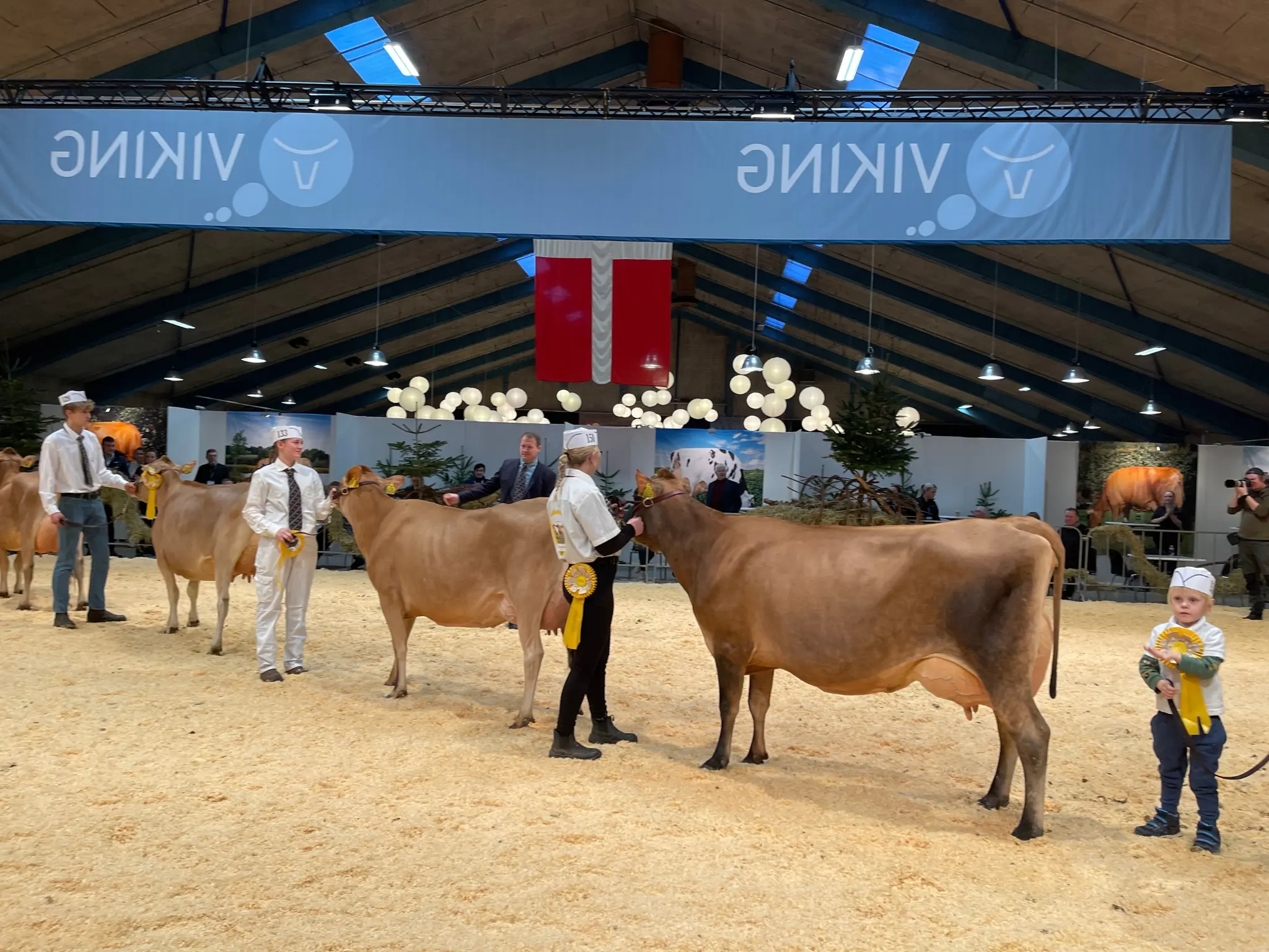 Untitled Design (96)