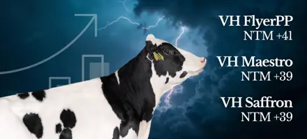 Entry Holstein Avlsværdital