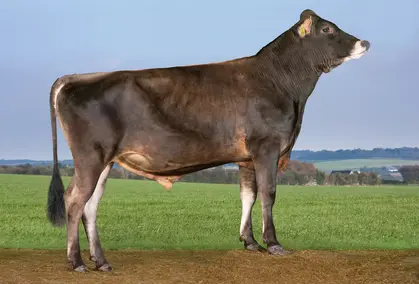 VJ Carapaz (VJ Laster) Edited