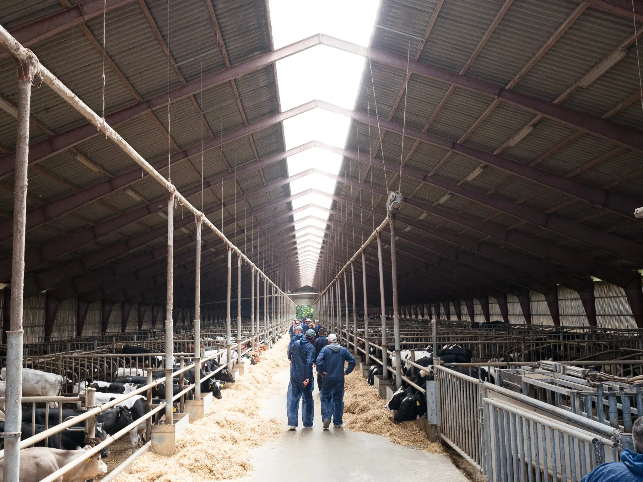 Jersey Verdenskongres 30